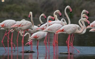 Cagliari – Un parco in ogni stagione