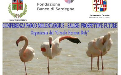 Cagliari – Il parco Molentargius-Saline: Prospettive Future