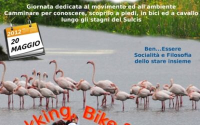 Masainas – Trekking, Bike & Nature – Muoversi  per vivere meglio