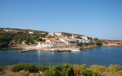 Asinara, una inedita settimana di servizio e di formazione