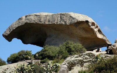 Servizi del CSV Sardegna Solidale durante il periodo natalizio