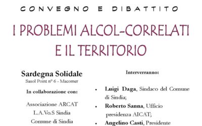 Sindia – I problemi alcocorrelati e il territorio