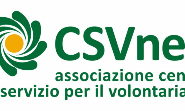 Roma – Consiglio direttivo CSVnet