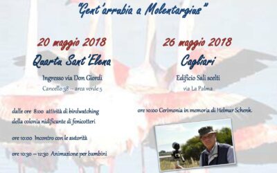 Gent’arrubia a Molentargius – Festa dei 25 anni di nidificazione