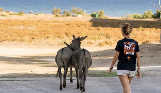 E!state Liberi! – Campi di volontariato all’Asinara